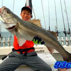 オーシャンマスター 釣果