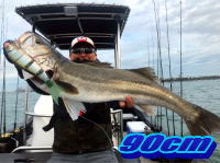 オーシャンマスター 釣果