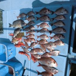 十八宝洋丸 釣果