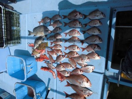 十八宝洋丸 釣果