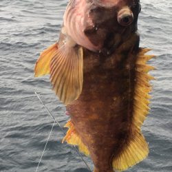 第八平成丸 釣果