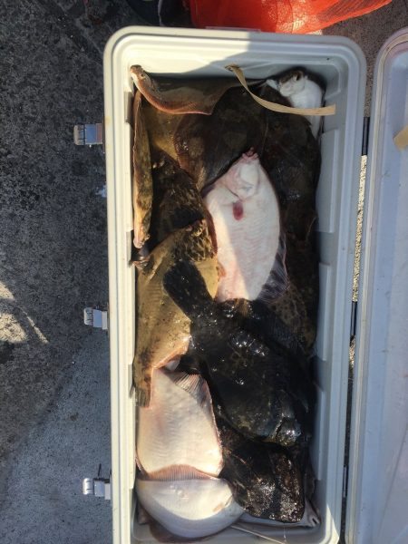 第八平成丸 釣果