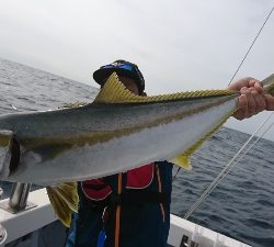 海龍丸（福岡） 釣果