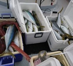 海龍丸（福岡） 釣果