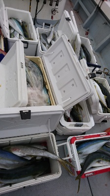 海龍丸（福岡） 釣果