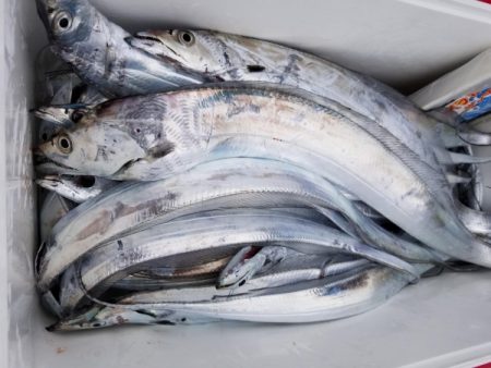 オーフリー 釣果