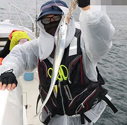 松本釣船２ 釣果