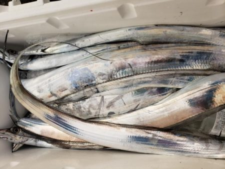 オーフリー 釣果