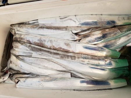 オーフリー 釣果