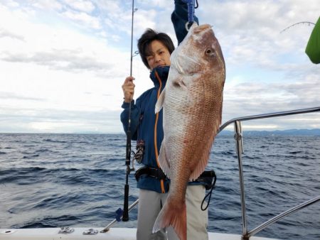 ブルーピア 釣果