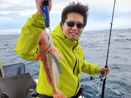 ブルーピア 釣果