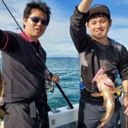 ブルーピア 釣果