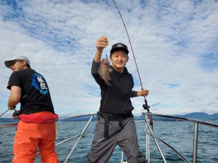 ブルーピア 釣果
