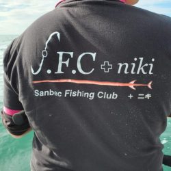 ブルーピア 釣果