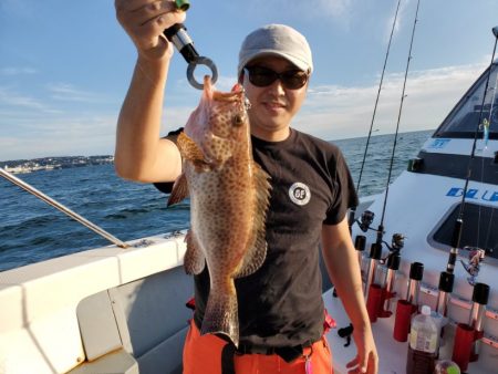 ブルーピア 釣果