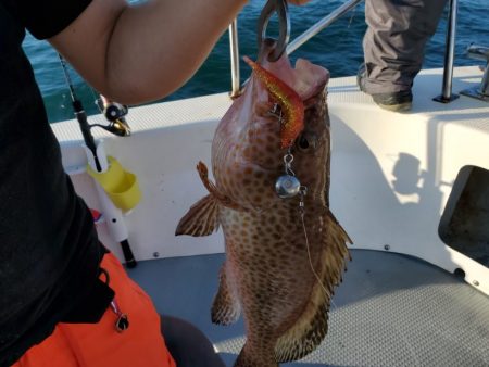 ブルーピア 釣果