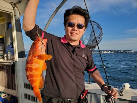 ブルーピア 釣果