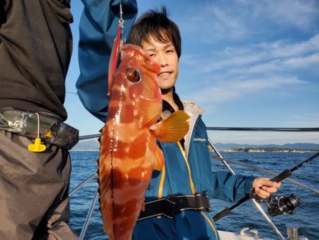 ブルーピア 釣果