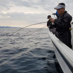 ブルーピア 釣果