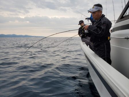 ブルーピア 釣果