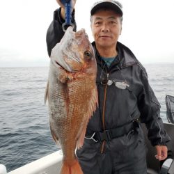 ブルーピア 釣果