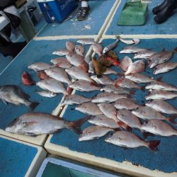 十八宝洋丸 釣果