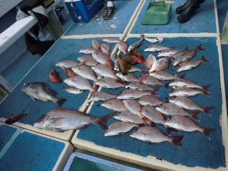 十八宝洋丸 釣果