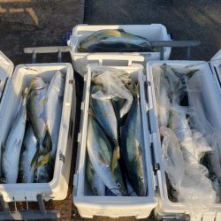 オーフリー 釣果