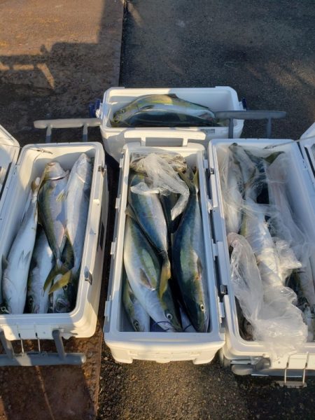 オーフリー 釣果