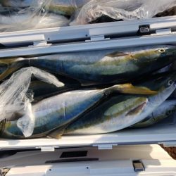 オーフリー 釣果