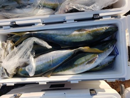 オーフリー 釣果