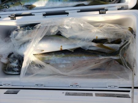 オーフリー 釣果