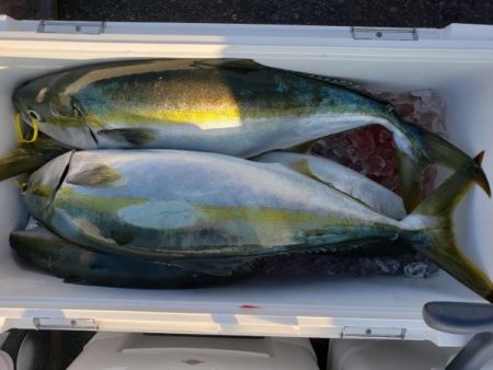 オーフリー 釣果