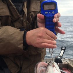 第八平成丸 釣果