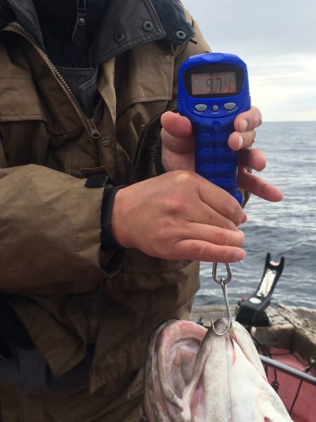 第八平成丸 釣果