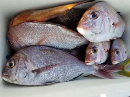 オーフリー 釣果