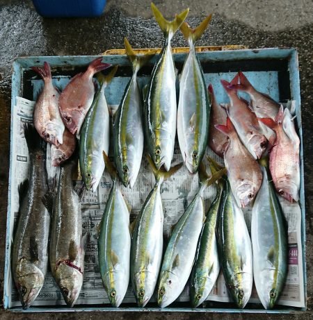 明神釣船 釣果