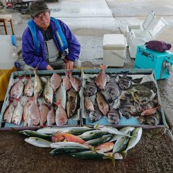 明神釣船 釣果