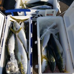 オーフリー 釣果