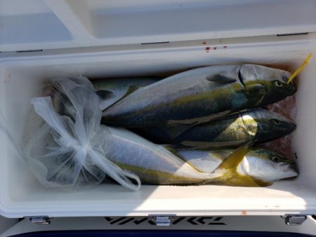 オーフリー 釣果