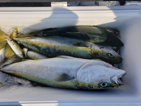 オーフリー 釣果