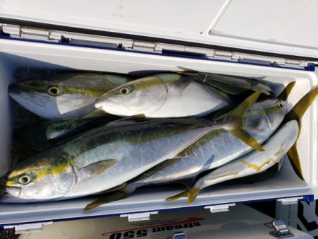 オーフリー 釣果