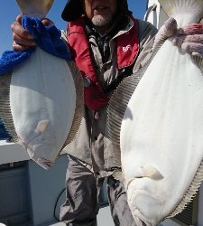 海龍丸（福岡） 釣果