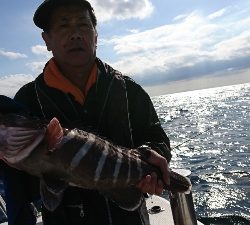 海龍丸（福岡） 釣果