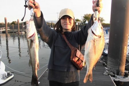 ルアー船マヒマヒ 釣果