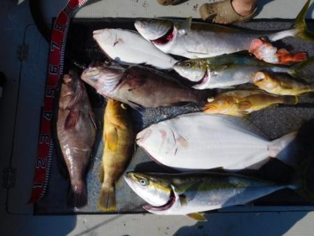 第二一之紀丸(ダイニイチノキマル) 釣果