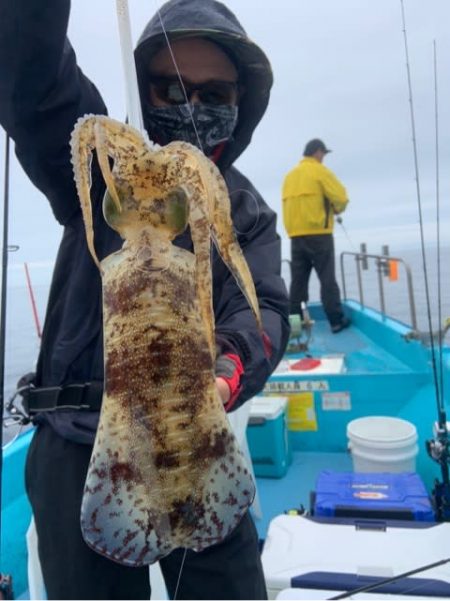 宝昌丸 釣果