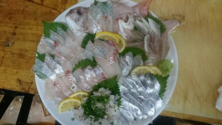 リトルワン 釣果