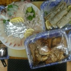 リトルワン 釣果