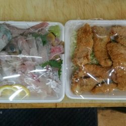 リトルワン 釣果